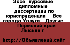 Эссе, курсовые, дипломные, диссертации по юриспруденции! - Все города Услуги » Другие   . Пермский край,Лысьва г.